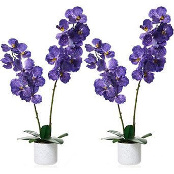 2-Pack 31.5" Faux Orchids Dark Purple in Pot