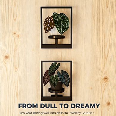Kaelin Home Plant Stand Indoor Wall Decor