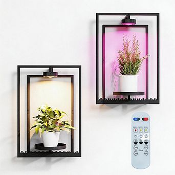 Kaelin Home Wall Plant Holder