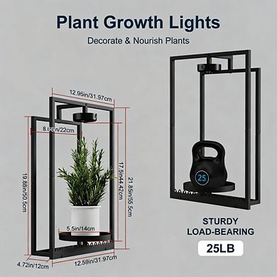 Kaelin Home Wall Plant Holder