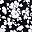 Black Blossom Floral