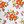 White Spring Floral