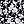 Black Blossom Floral