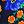Navy Poppy Floral