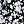 Black Blossom Floral