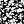 Black Blossom Floral