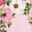 Floral Pink Frost