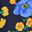 Navy Poppy Floral