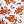 White Spring Floral