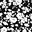 Black Blossom Floral