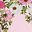 Floral Pink Frost