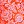 Orange Floral Medley