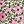 Pink Green Floral