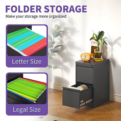 VIYET 2-Drawer Vertical File Cabinet - Locking Steel Storage for Letter & Legal Files