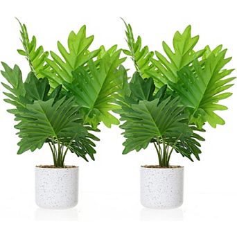 2-Pack Small Fiddle Leaf Fig in White Marble Pot
