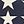 White American Flag