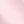 Pink Floral