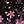 Black Pink Print