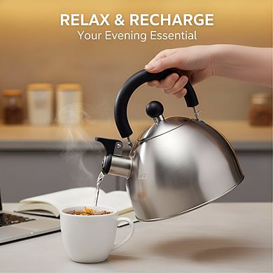 1.5-Quart Stainless Steel Stovetop Tea Kettle, Fast Boiling Cool Touch Handle