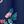 Blue Flower