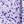 Purple Floral
