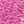 Pink Leopard Print