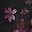 Black Flower