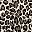 Black Leopard