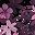 Pink Blush Mauve