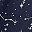 Grey Floral Blue Star