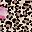 Black Lily Leopard