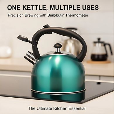 2.3L Whistling Tea Kettle Teal, Stainless Steel Fast Boiling Food Grade