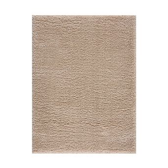 Aurora Ascent Super Soft Polyester Shag Area Rug, 4'x6'