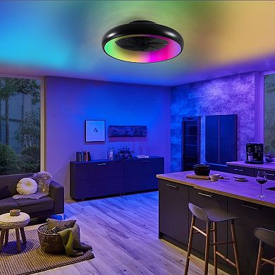 19 Pumpkin Lamp Indoor Fan Light with Remote Control Dimmable