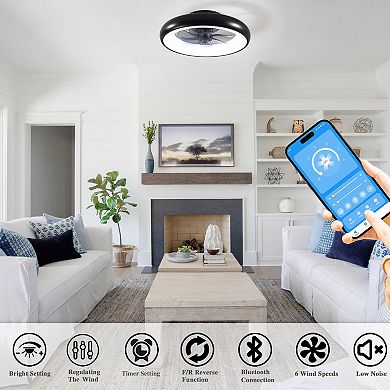 19 Pumpkin Lamp Indoor Fan Light with Remote Control Dimmable