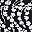 Black White Floral