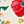 Egret Poppy Floral