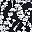 Black White Floral