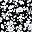 Black Blossom Floral
