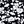 Black Blossom Floral