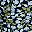 Navy Bloom Floral