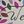 Jewel Tones Patterned