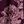 Purple Estelle Floral