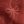Red Bow Stripe