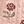Pink Rose Stitch