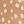Tan Doe Print