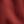 Red Merry