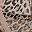 Iconic Leopard