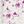 Pink Floral