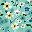 Blue White Floral